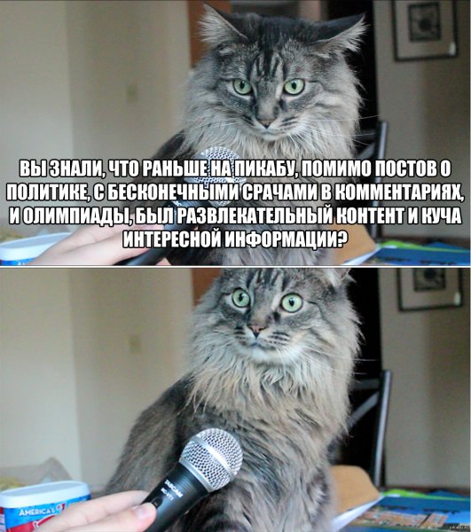 Лето наконец пришло