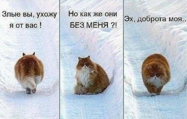 Заберите меня на море