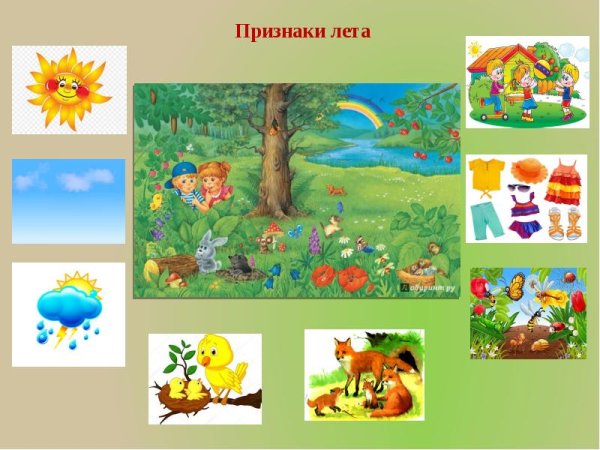 Признаки лета для детей