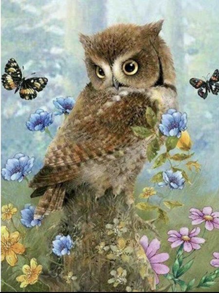 Совушка живопись