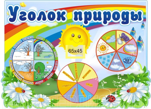 Стихи о лете для детей