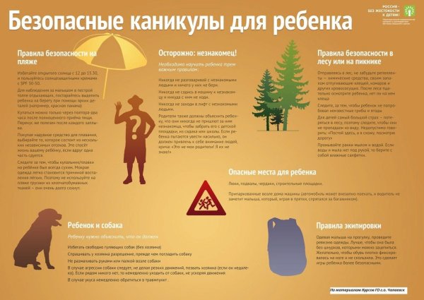 Внимание дети