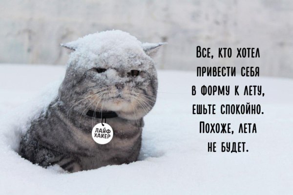 Мемы про Холодное лето