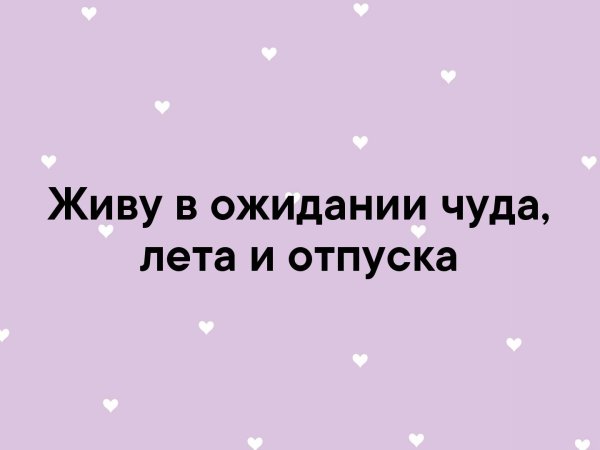 Белка ши картинки