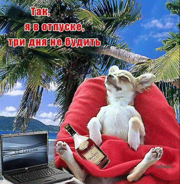 Девушка с коктейлем на пляже