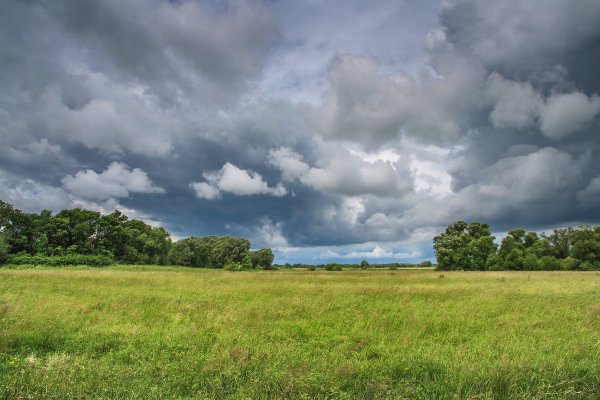 Пасмурная природа