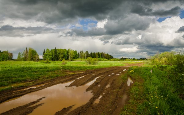 Пасмурный летний день
