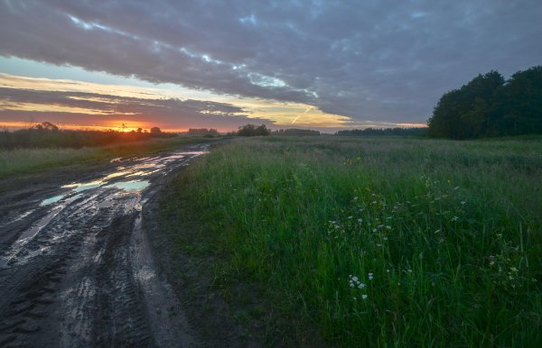 Пасмурное лето