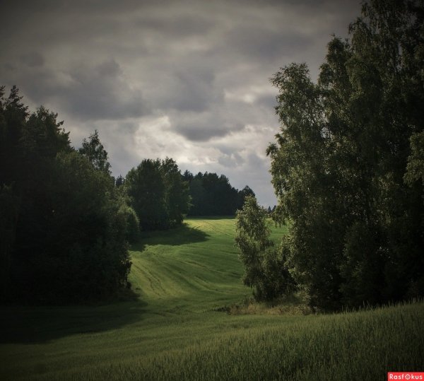 Пасмурная природа