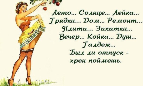 Рыжий кот демотиватор