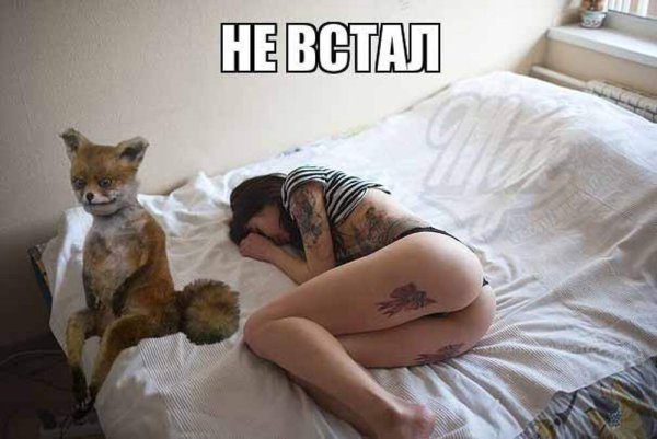 Смешные высказывания королевы