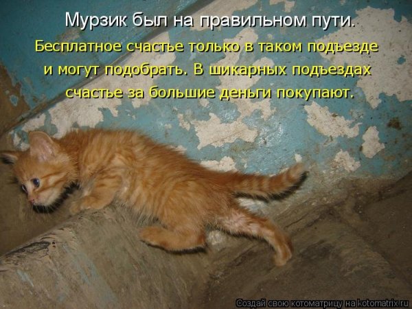 Жена ждет мужа с работы