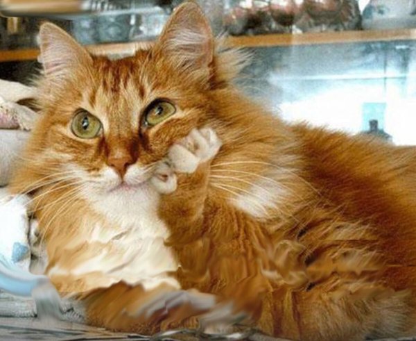 Цитаты про март