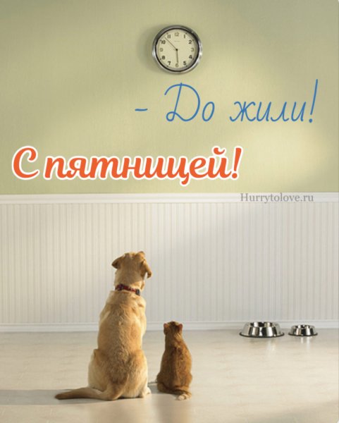 Открытки Холодное лето