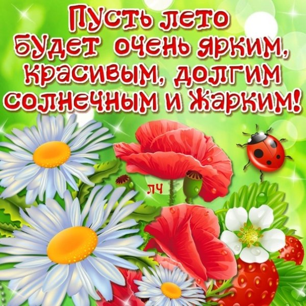 Лето пришло