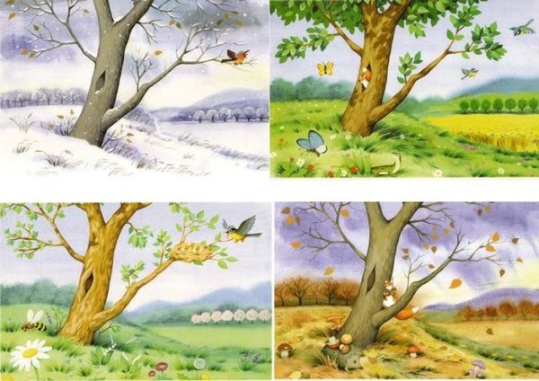 Лето признаки лета