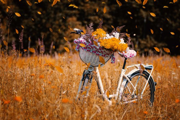 Креативная фотосессия на пляже