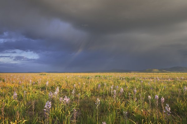 Вивальди лето