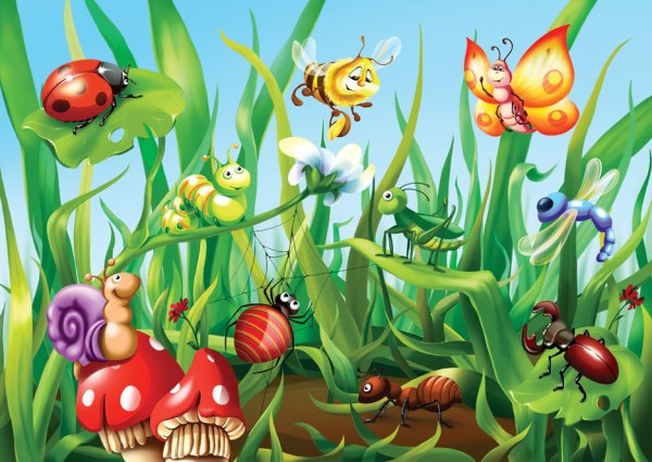 Насекомые для детей