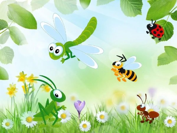 Мир насекомых для детей