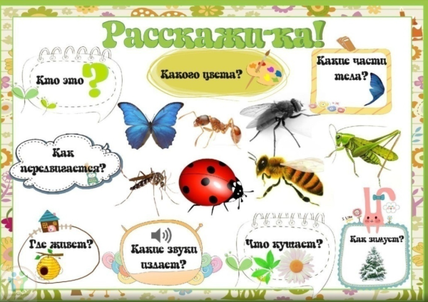Тема насекомые для дошкольников