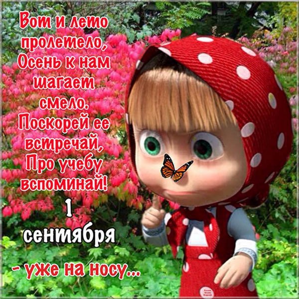 Лето закончилось