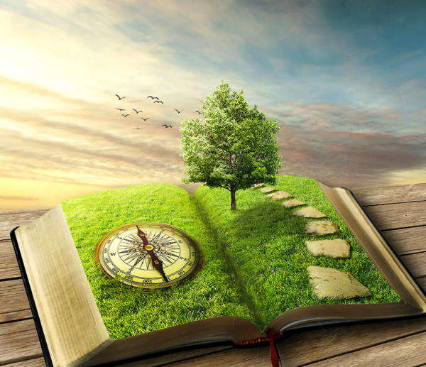 Книга природа