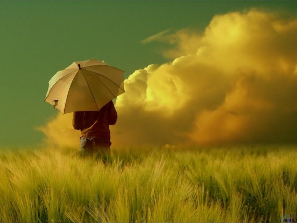Мудрая природа