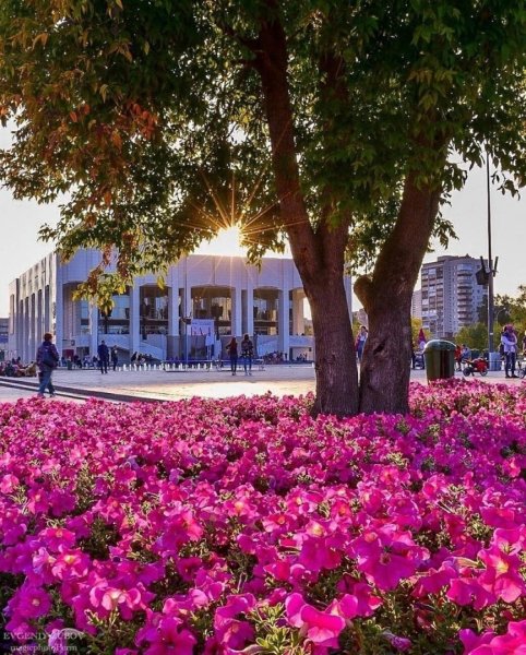 Эспланада Пермь 2020 лето