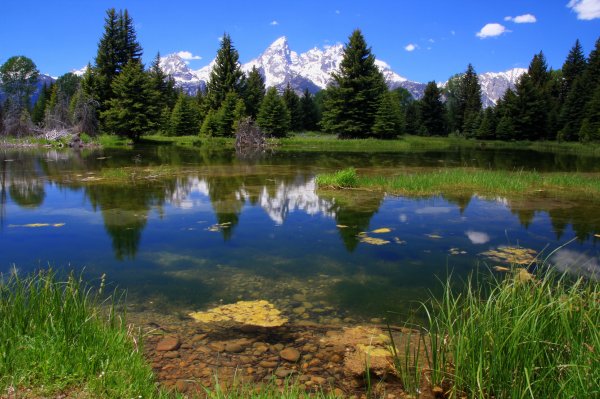 Яркая природа
