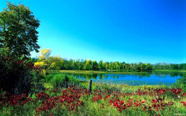 Русская природа