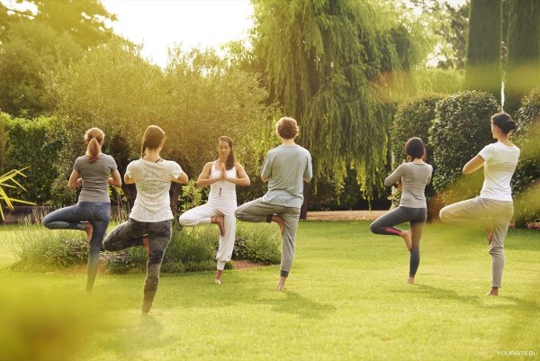 Групповые занятия йогой на природе