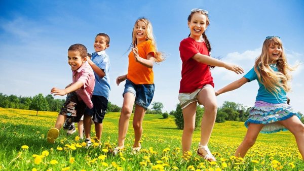 Физическая культура и спорт