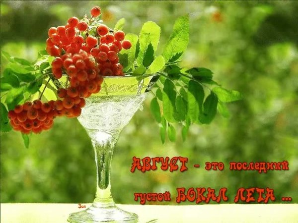 До лета остался 1 день