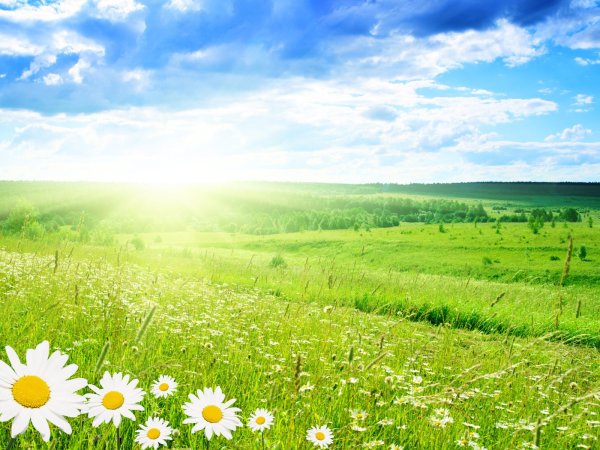 Открытки уходящего лета