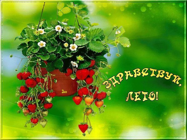 Анимация прекрасного лета