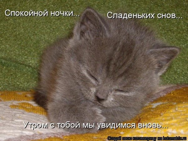 Спокойной ночи до завтра