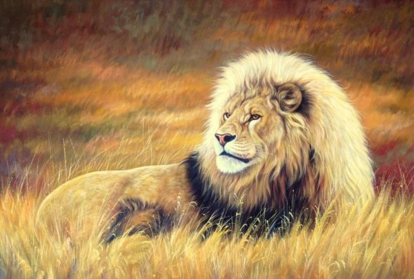 Лев царь зверей