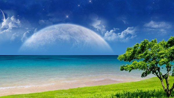 Спокойная природа