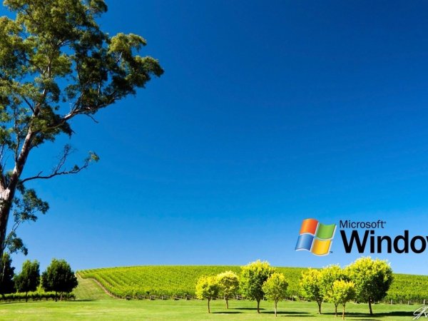 Обои виндовс 11