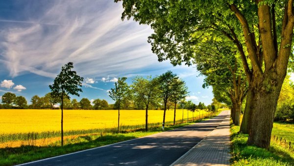 Красивый фон для рабочего стола Windows