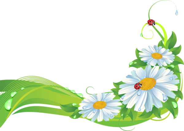 Ромашка клипарт