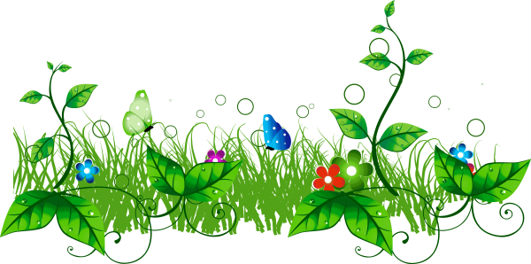 Растения на прозрачном фоне