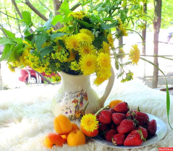 Красивые летние натюрморты