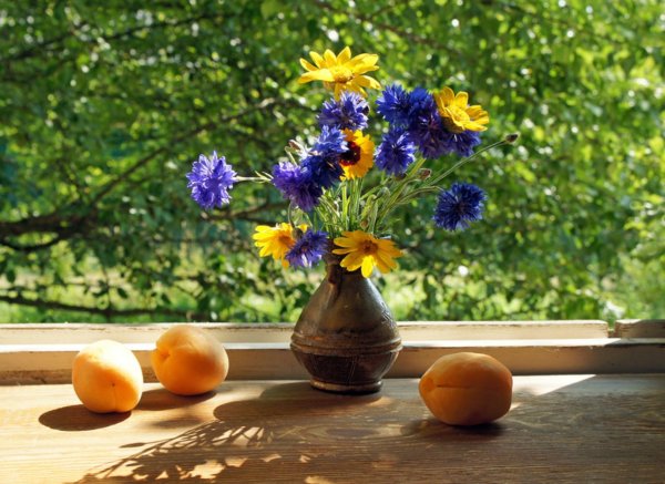 Летний натюрморт