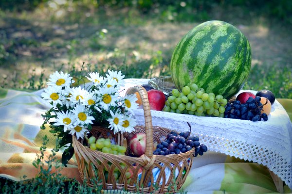 Полевые цветы в вазе