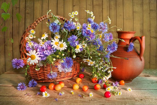 Летний натюрморт