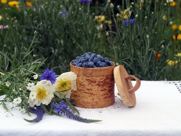 Летний натюрморт