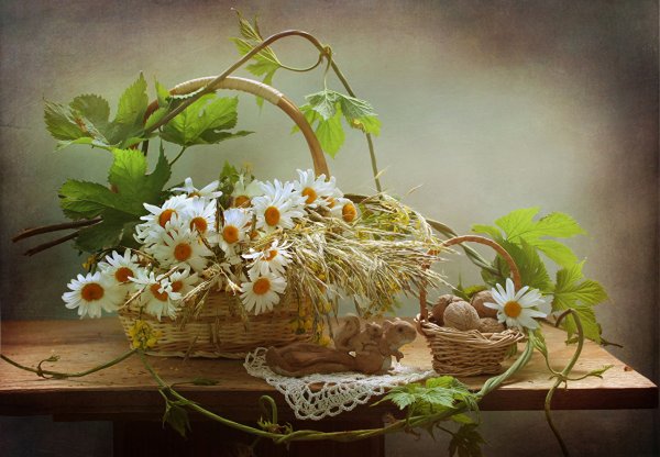 Натюрморт на природе