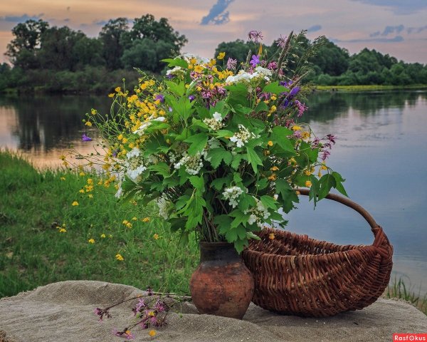 Осенние цветы